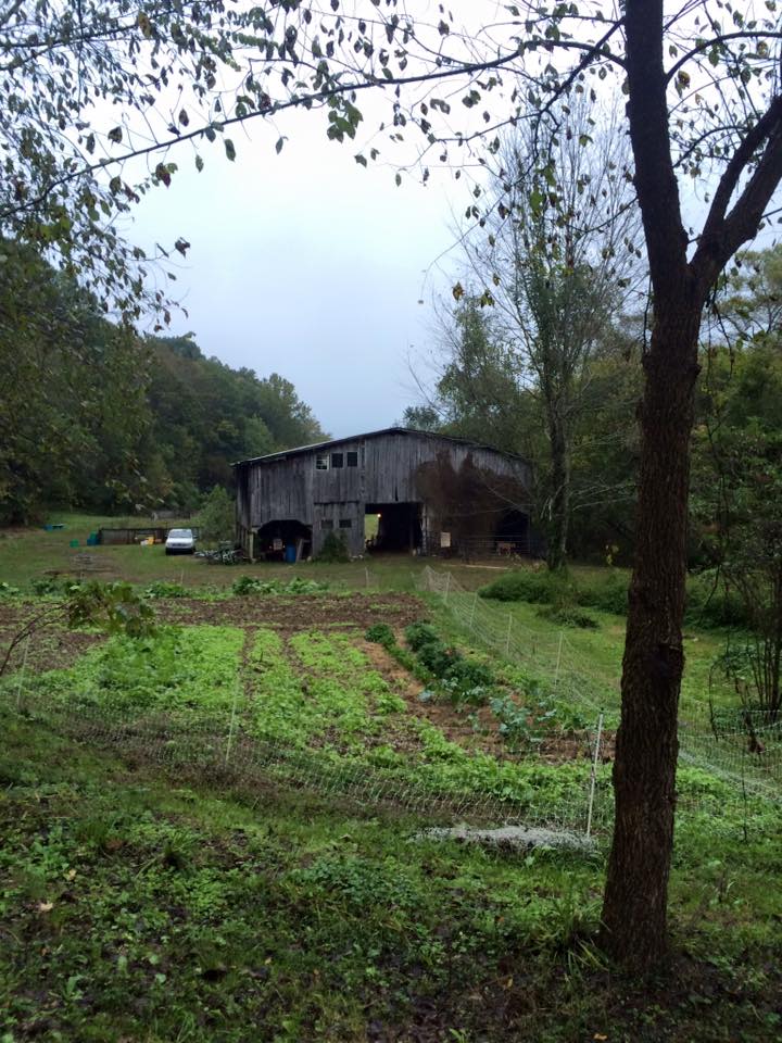 barn and garden at bdc 2015