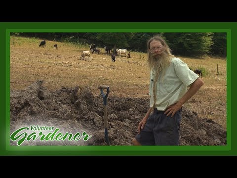 When is Compost Ready? | Volunteer Gardener